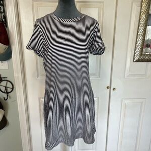Southern Tide Navy and White Striped Mini Dress
